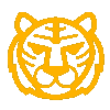 Tiger Hayes